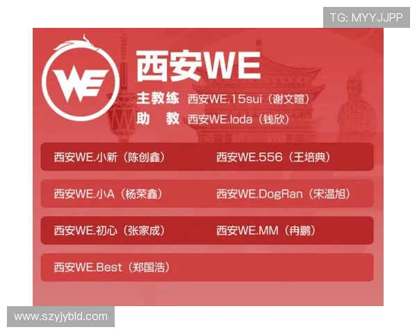 王者荣耀战术解析:WE战队的技术优势与策略探讨